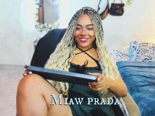 Miaw_prada