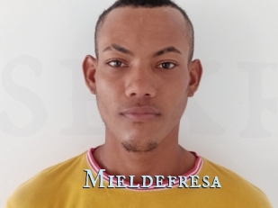 Mieldefresa