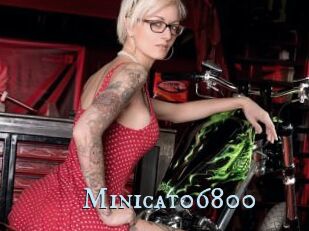 Minicat06800