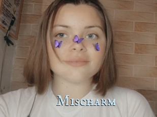 Mischarm
