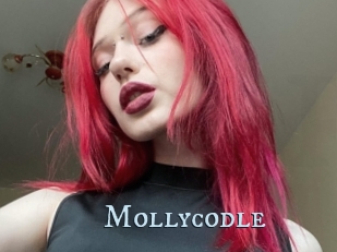 Mollycodle