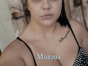 Muisor