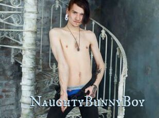 NaughtyBunnyBoy