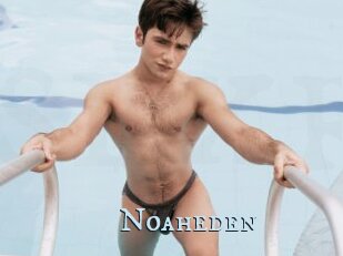 Noaheden