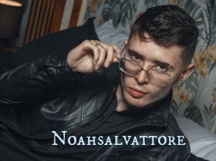 Noahsalvattore