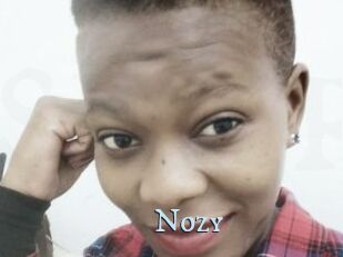 Nozy