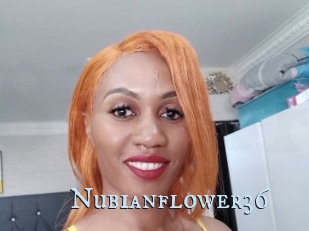 Nubianflower36