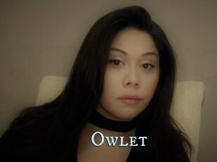 _Owlet_