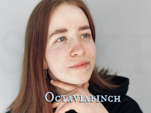 Octaviafinch