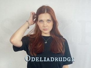Odeliadrudge