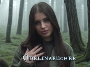 Odelinabucher