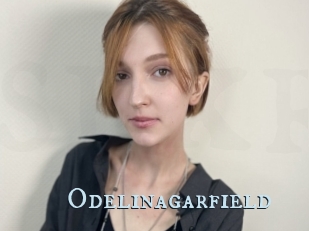 Odelinagarfield