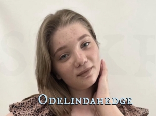 Odelindahedge