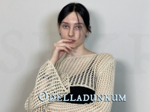 Odelladunkum