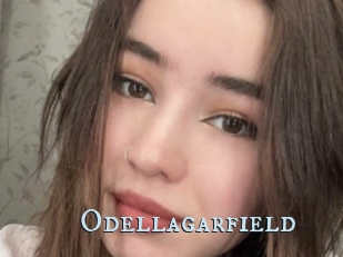 Odellagarfield