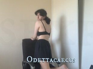 Odettacaecus