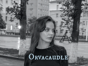 Orvacaudle