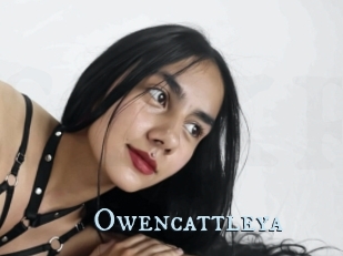 Owencattleya