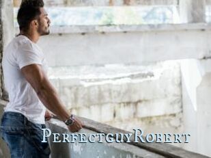 PerfectguyRobert
