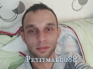 Petitmaldu88