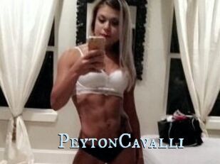 Peyton_Cavalli