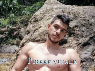 Pierre_vitale
