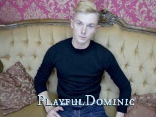 PlayfulDominic