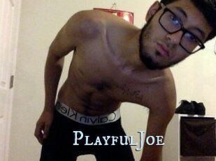 PlayfulJoe