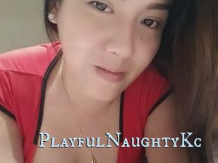 PlayfulNaughtyKc
