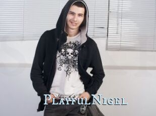 PlayfulNigel