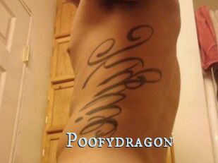 Poofydragon
