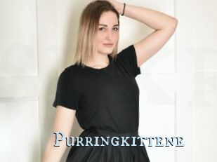 Purringkittene