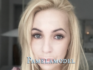 Pamelamodel
