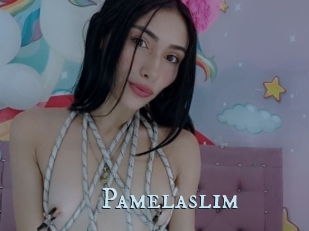 Pamelaslim
