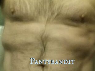 Pantybandit