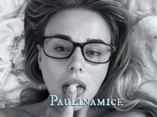 Paulinamice