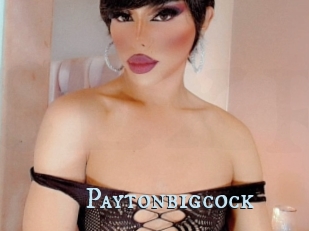 Paytonbigcock