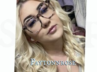 Paytonnrose
