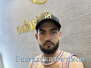 Pervertedboy7inch