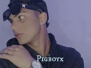 Pigboyx