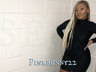 Pinkbunny22
