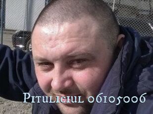 Pituliciul-06105006