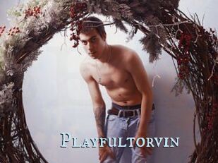 Playfultorvin