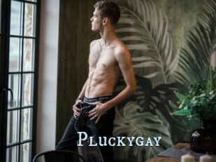 Pluckygay