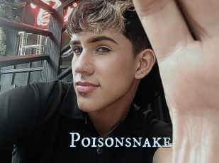 Poisonsnake
