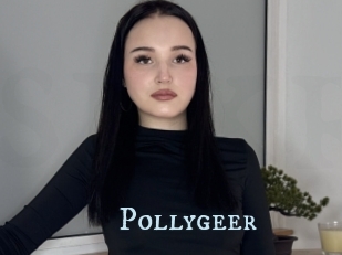 Pollygeer
