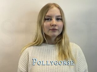 Pollygorse