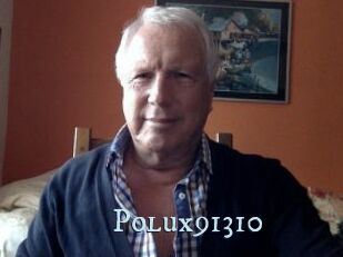 Polux91310