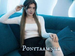 Ponytaamnel