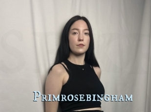Primrosebingham